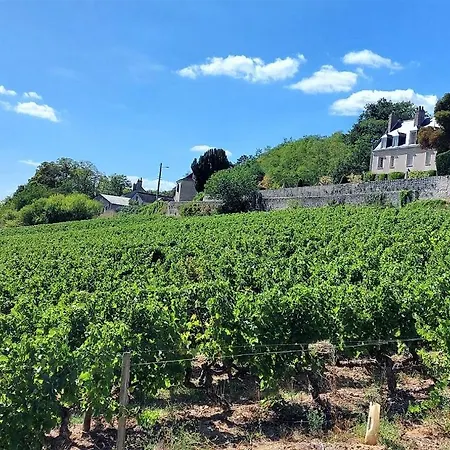 L'oiseau Blanc / - Piscine Du Tours