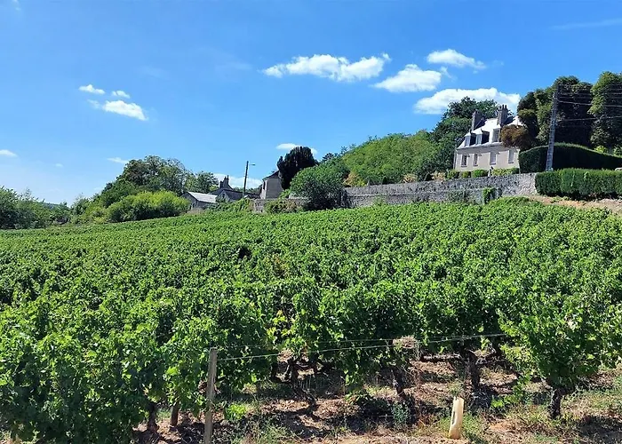 L'oiseau Blanc / - Piscine Du 图尔